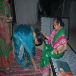 Vraj-Yatra-2014- (1301)